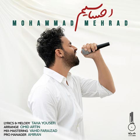 محمد مهراد دانلود ورژن گیتار آهنگ  احساسیم
